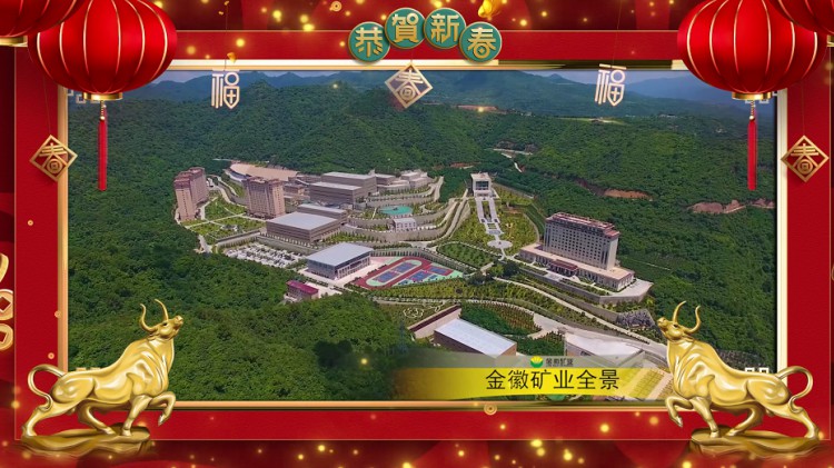 Z6尊龙凯时矿业股份有限公司向全国人民拜年!